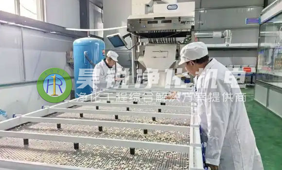 蕪湖瓜子炒制企業(yè)10萬級潔凈車間建設難點